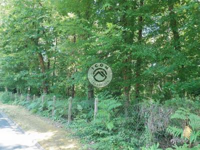For sale Coulounieix-chamiers 4033 m2 Dordogne (24660) photo 0