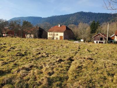 Annonce Vente Terrain  88