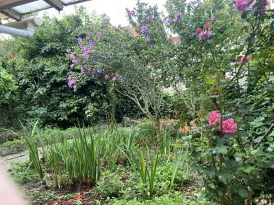 For sale Saint-pol-sur-ternoise 8 rooms 156 m2 Pas de calais (62130) photo 1