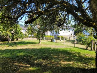 Annonce Vente 4 pices Maison Bort-les-orgues 19