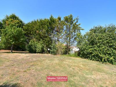 For sale Saint-gilles-croix-de-vie 973 m2 Vendee (85800) photo 0