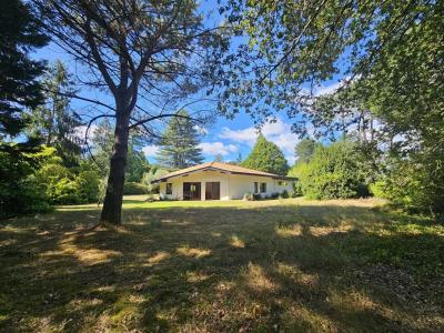 Annonce Vente 6 pices Maison Saint-paul-les-dax 40