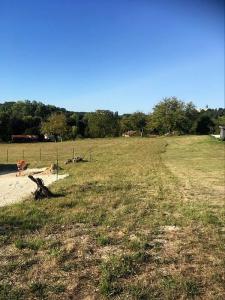 For sale Paussac-et-saint-vivien 5693 m2 Dordogne (24310) photo 2
