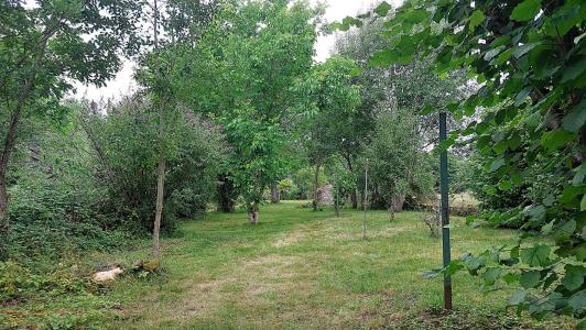 Annonce Vente 5 pices Maison Selles 70