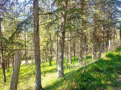 Annonce Vente Terrain Lombers 81