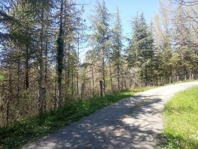 Acheter Terrain 4000 m2 Lombers
