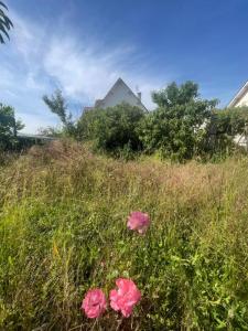 For sale Sourzac 7 rooms 150 m2 Dordogne (24400) photo 4
