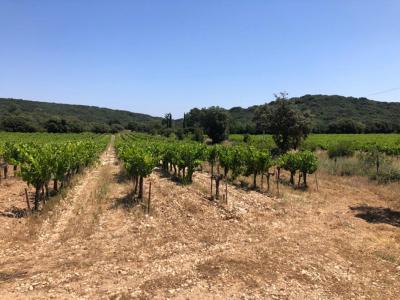 For sale Rochefort-du-gard 32767 m2 Gard (30650) photo 0