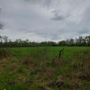Acheter Terrain Coullons Loiret