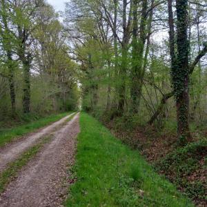 Acheter Terrain Coullons 336000 euros