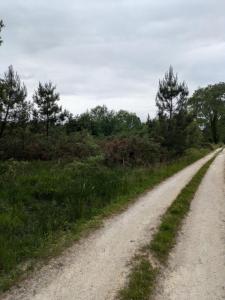 For sale Cercoux 5 rooms 190 m2 Charente maritime (17270) photo 2