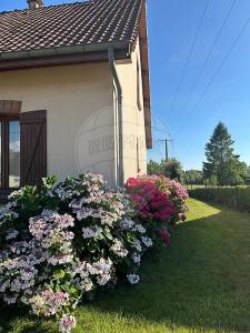 Annonce Vente 5 pices Maison Neuville-sous-montreuil 62