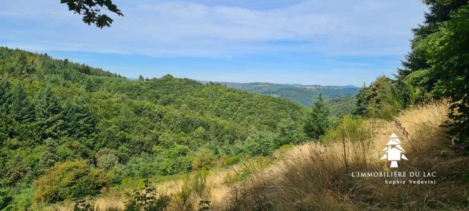 For sale Saint-jean-roure 6 rooms 156 m2 Ardeche (07160) photo 4
