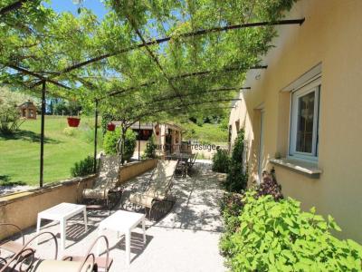 Acheter Prestige Tournus Saone et loire
