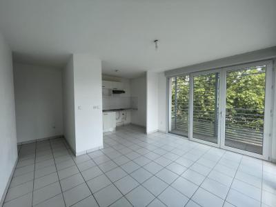 Annonce Location 3 pices Appartement Toulouse 31