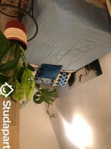 Annonce Location Appartement Paris-10eme-arrondissement 75