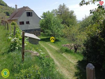 Annonce Vente 4 pices Maison Pierrefort 15