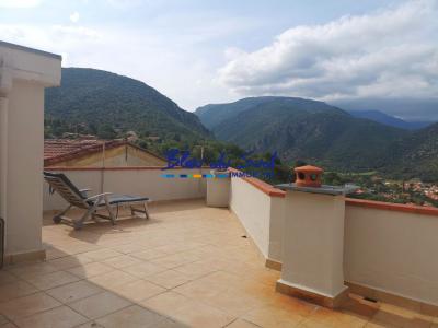 For sale Ria-sirach 5 rooms 54 m2 Pyrenees orientales (66500) photo 0