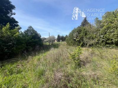 For sale Arles 3575 m2 Bouches du Rhone (13200) photo 4