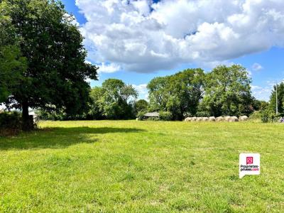 Annonce Vente Terrain Chapdes-beaufort 63