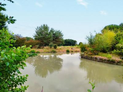 For sale Chaumussay 8 rooms 180 m2 Indre et loire (37350) photo 4