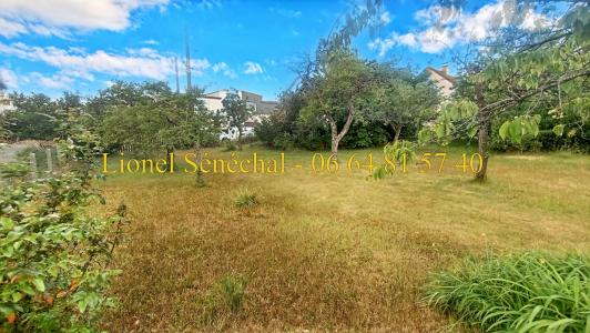 Annonce Vente Terrain Mans 72