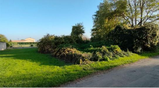 For sale Champagnolles 676 m2 Charente maritime (17240) photo 1