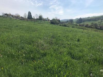 Acheter Terrain 6025 m2 Cluny