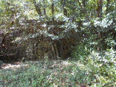 Annonce Vente Terrain Lodeve 34