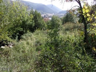 Acheter Terrain Lodeve Herault