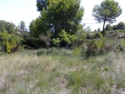 Annonce Vente Terrain Saint-pons-de-mauchiens 34