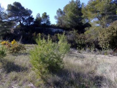 Acheter Terrain 2180 m2 Saint-pons-de-mauchiens