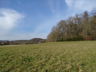 For sale Thonac 19000 m2 Dordogne (24290) photo 1
