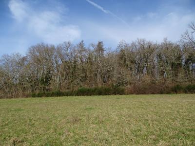 For sale Thonac 19000 m2 Dordogne (24290) photo 2