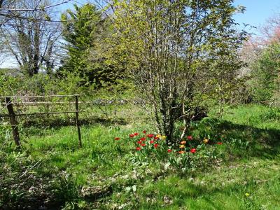 For sale Ajat 5 rooms 136 m2 Dordogne (24210) photo 3