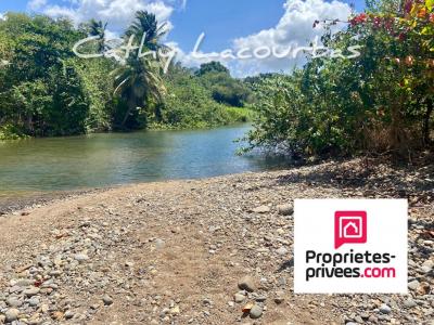 For sale Pointe-noire 10000 m2 Guadeloupe (97116) photo 1
