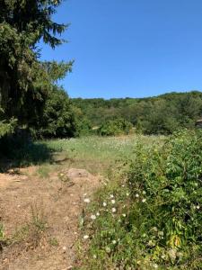 Annonce Vente Terrain Ponchon 60