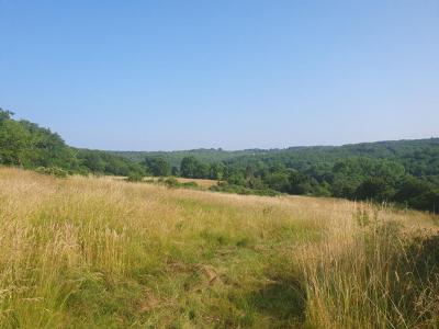 For sale Sainte-orse 19450 m2 Dordogne (24210) photo 1