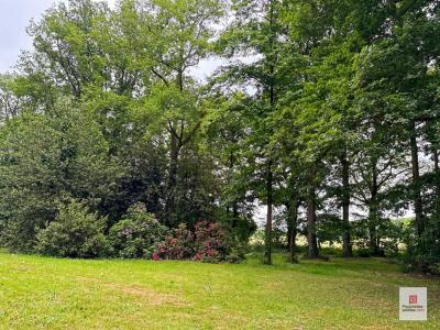 For sale Durtal 8 rooms 203 m2 Maine et loire (49430) photo 4