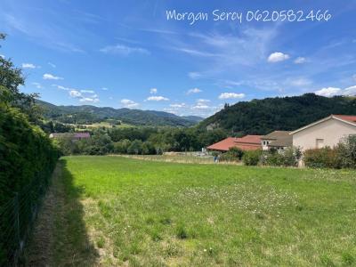 Annonce Vente Terrain Boen 42