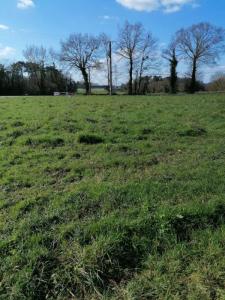 For sale Taupont 992 m2 Morbihan (56800) photo 1