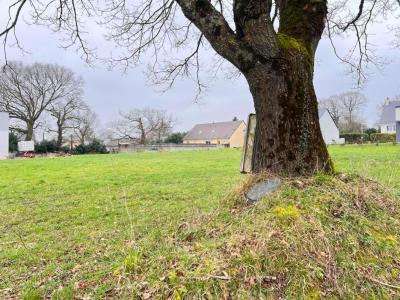 For sale Conquereuil 667 m2 Loire atlantique (44290) photo 0