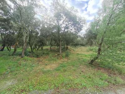 Annonce Vente Terrain Garde-adhemar 26