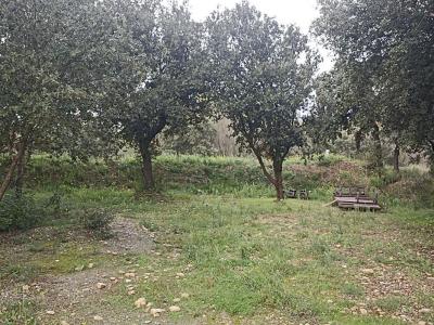 Acheter Terrain Garde-adhemar 460000 euros