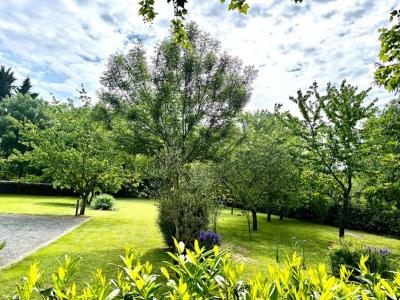 Annonce Vente 6 pices Maison Beaufort-en-vallee 49