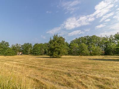 Annonce Vente Terrain Ferte-imbault 41