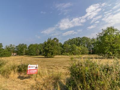 Annonce Vente Terrain Ferte-imbault 41