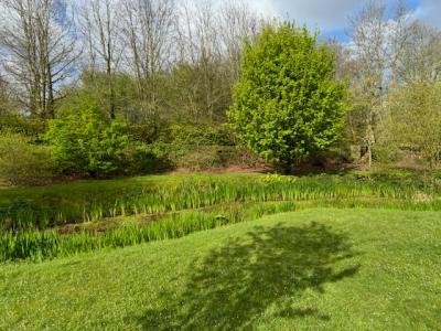 Acheter Maison 130 m2 Yport