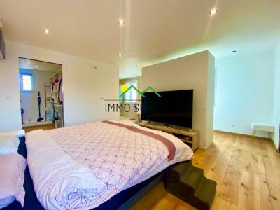 Acheter Maison Lavilledieu 345000 euros