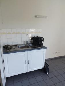 Louer Appartement Lyon-7eme-arrondissement Rhone